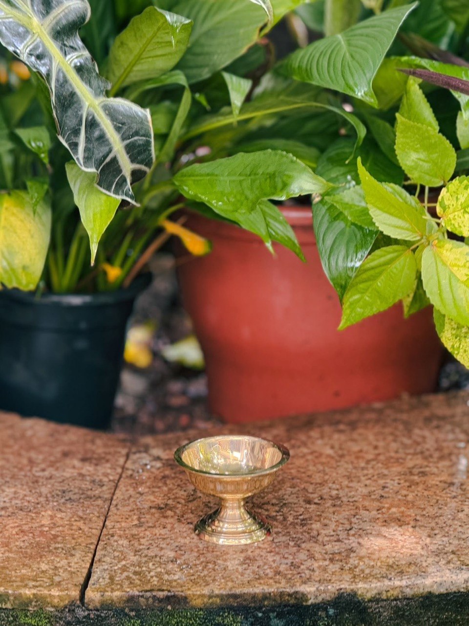 CHANDHANODAM